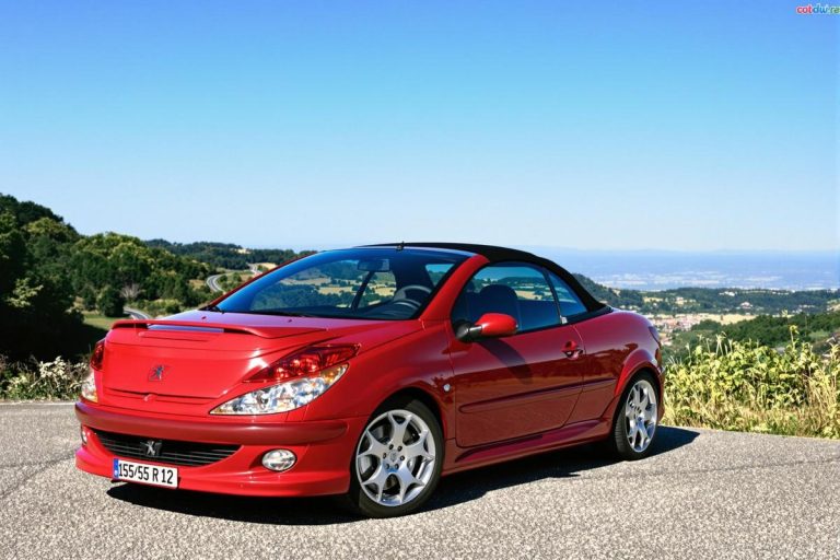 Dimensions idéales pneus 206 cc 2l 16s : sécurité assurée.jpg