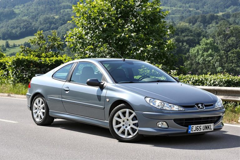 Dimensions optimales pneus Peugeot 406 coupé 2.2 HDI.jpg