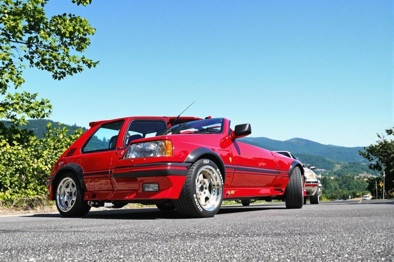 Dimensions pneus 205 GTI 1.6 : guide complet et conseils.jpg