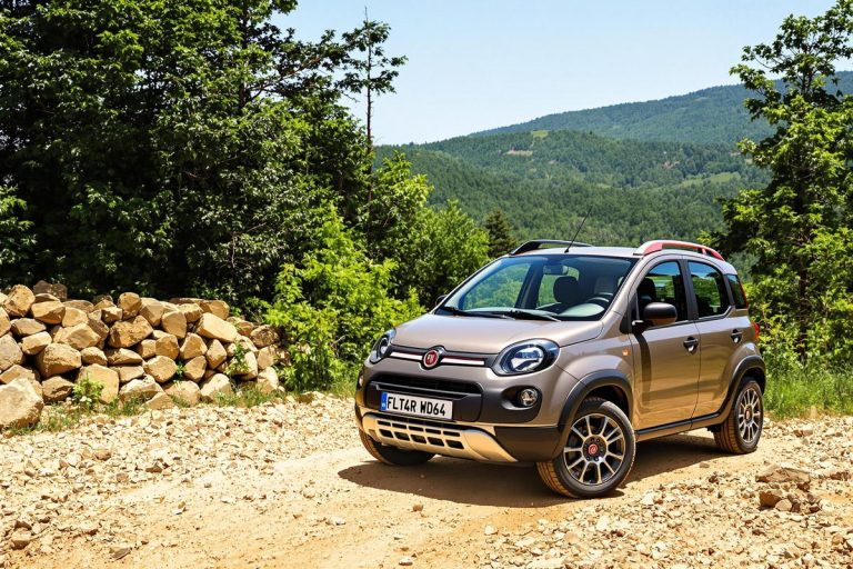 Pneus adaptés pour fiat panda 4x4 cross : guide complet.jpg