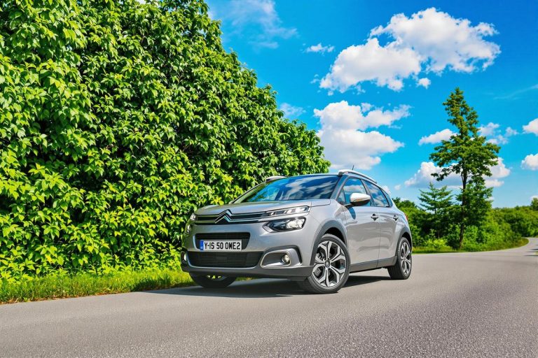 Taille et dimensions des pneus citroën c5 phase 2.jpg