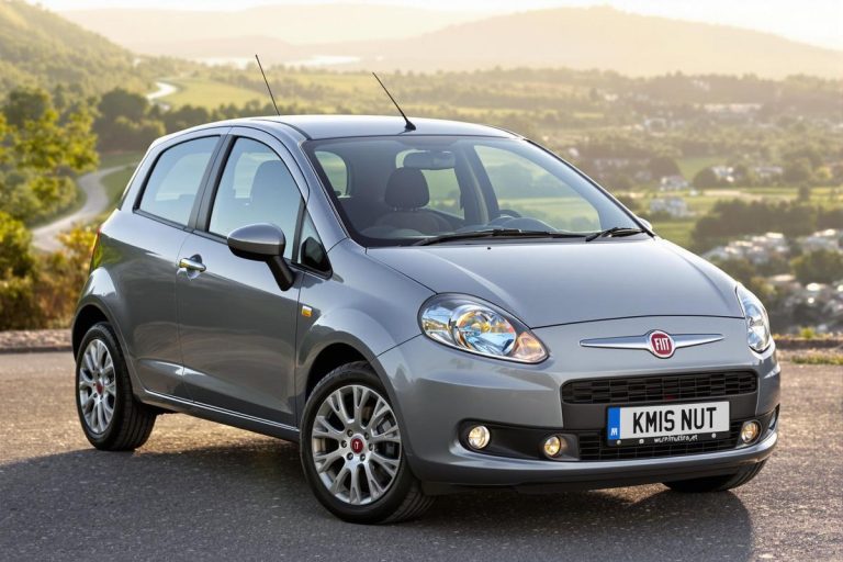 Taille pneu fiat punto 1.3 multijet : infos clés.jpg