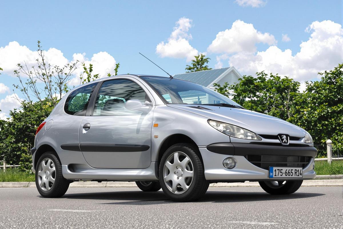 Taille pneu idéale pour Peugeot 206 1.4 essence.jpg