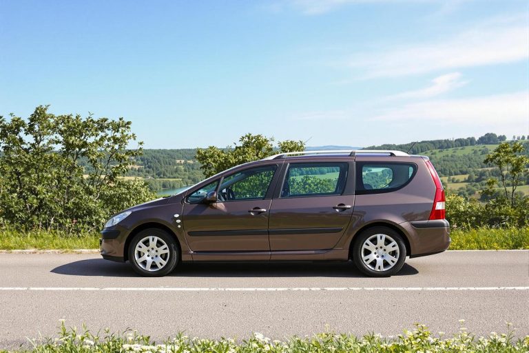 Taille pneus Peugeot 307 SW 1.6 HDI 110 : guide complet.jpg