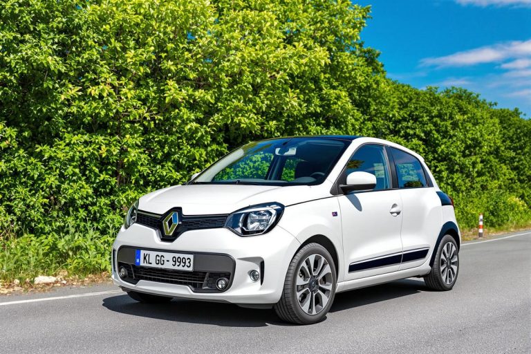 Tailles et dimensions pneus pour Renault Twingo 1.jpg